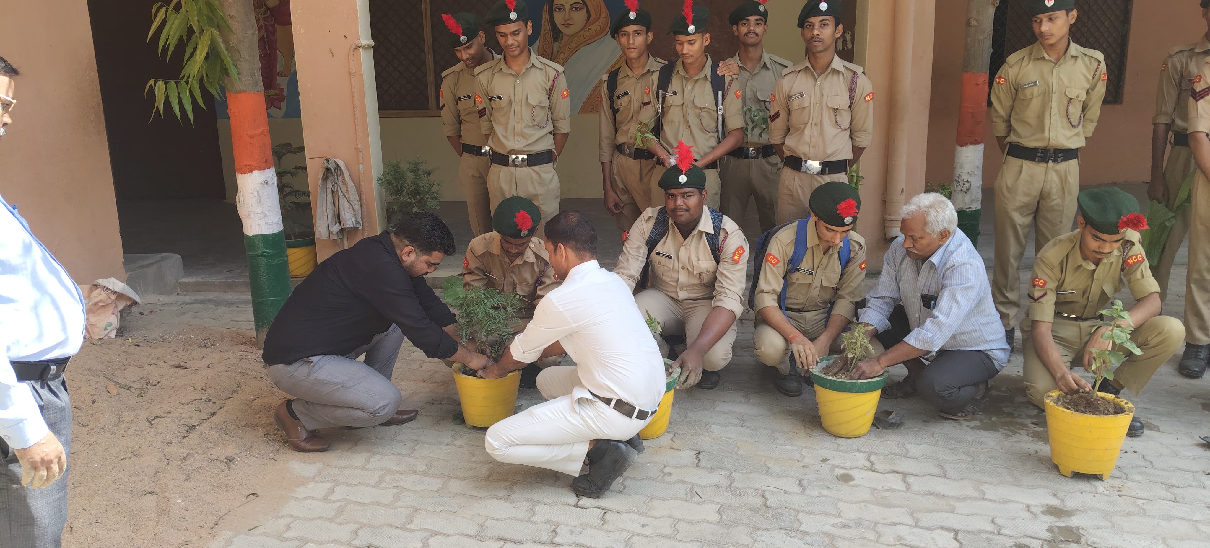 Eco activity